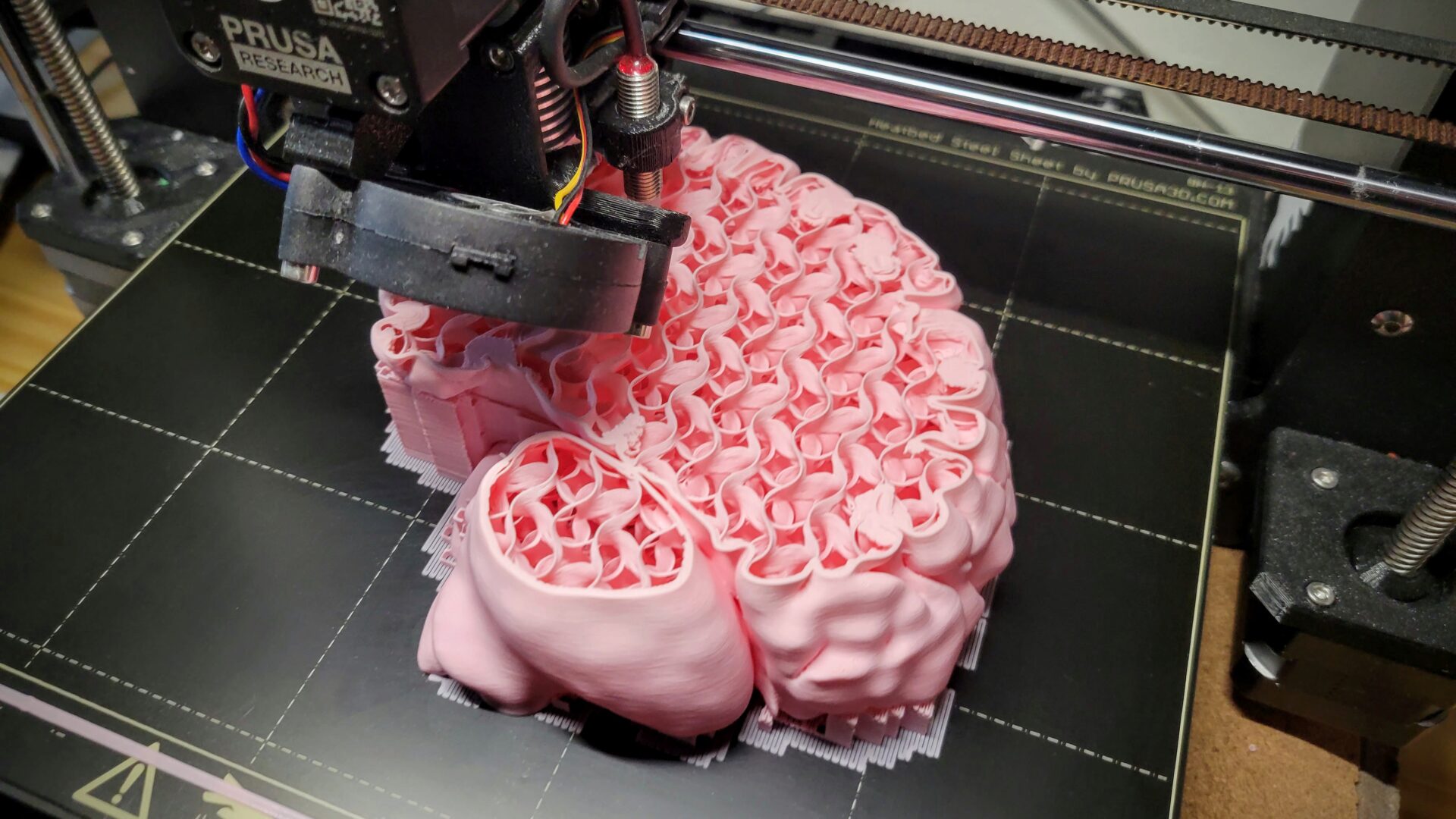 Full-sized brain mid-print