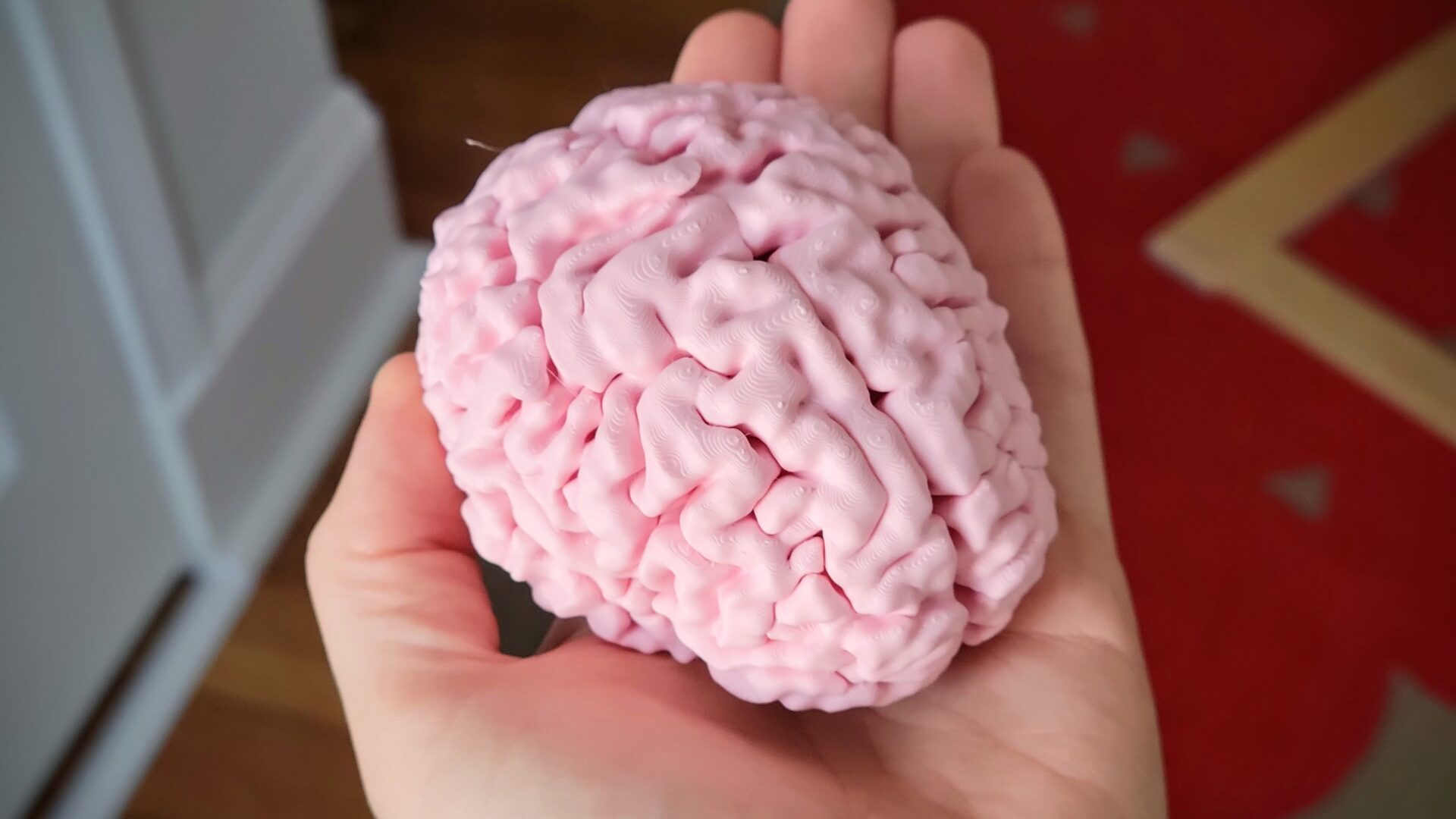 Finished mini-brain
