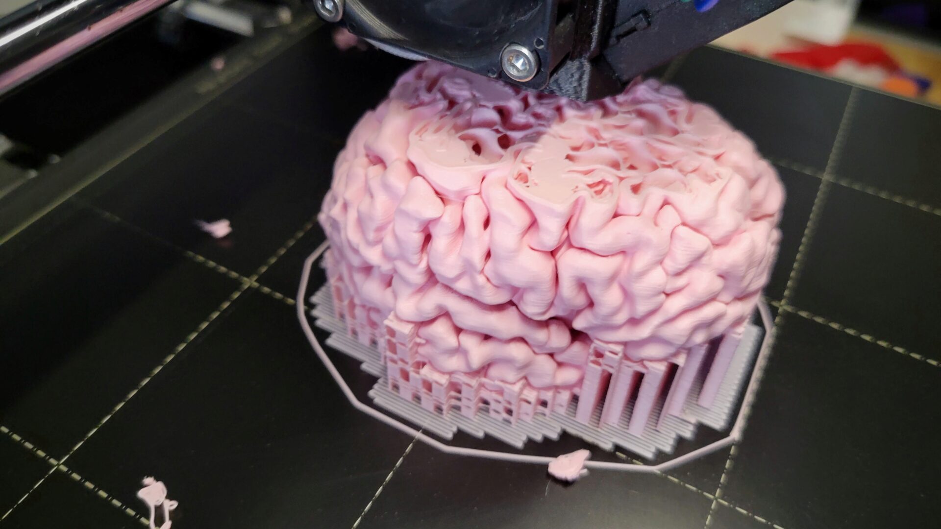 Mini brain mid-print