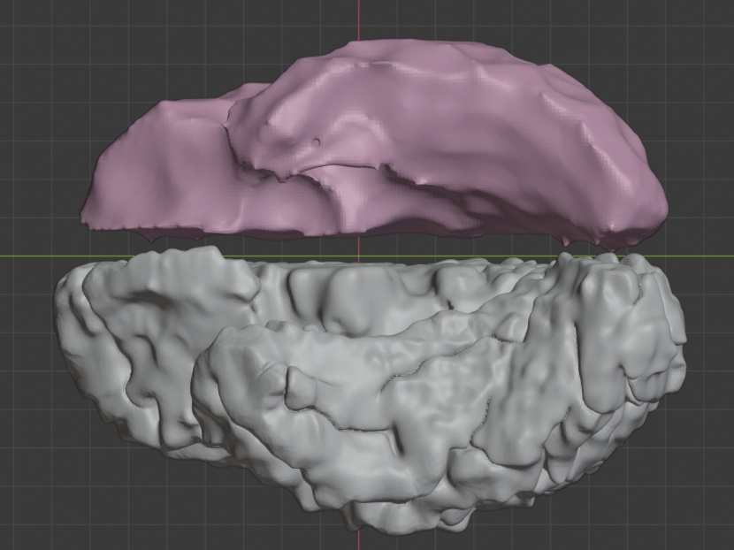 Blender inner & outer brains